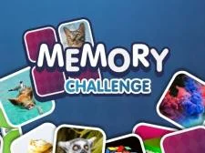 Memory Challenge